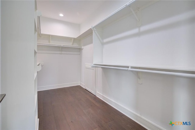 walk in closet with dark hardwood / wood-style flooring