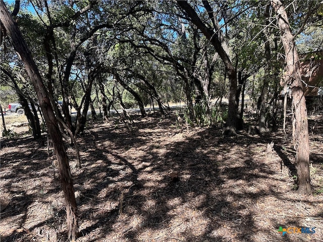 672 Burr Oak Ln, Canyon Lake TX, 78133 land for sale