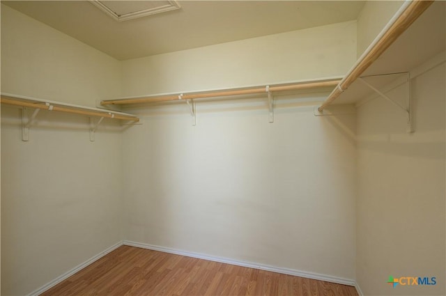 2109 Vernice Dr, Copperas Cove, TX 76522 - walk in closet featuring light wood-style floors