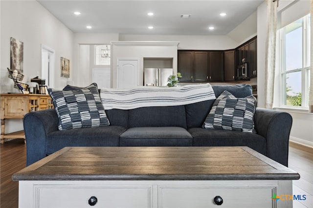 living room with wood-type flooring