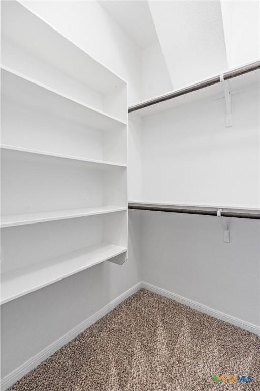 spacious closet with carpet floors