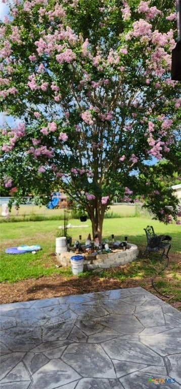 view of yard featuring a patio