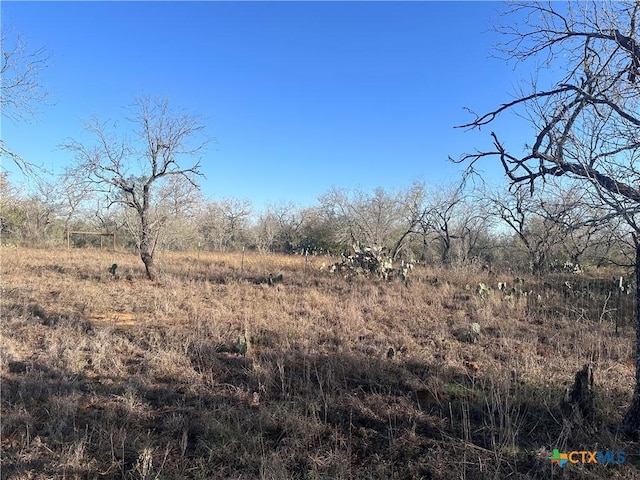 Listing photo 2 for 5870 County Road 405, Floresville TX 78114