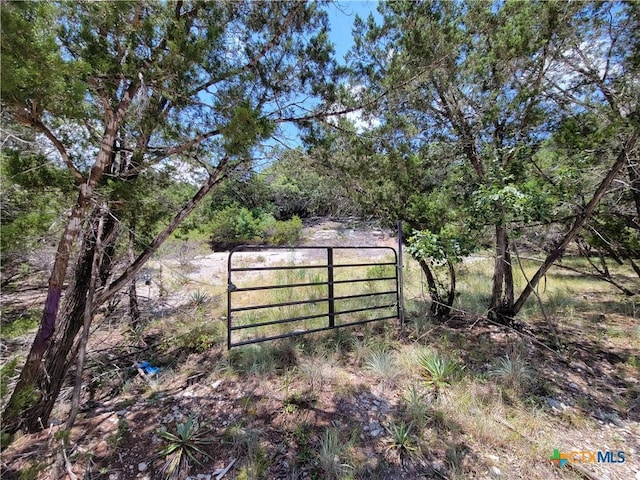 6499 Hood Trl, Belton, TX 76513 - photo 2