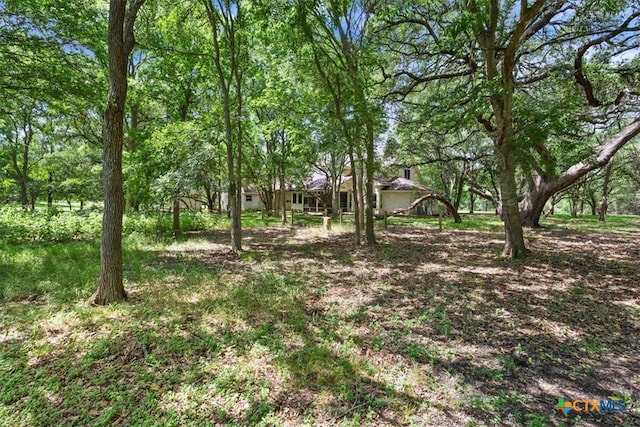 11740 Stinnett Mill Rd, Salado, TX 76571 - view of yard
