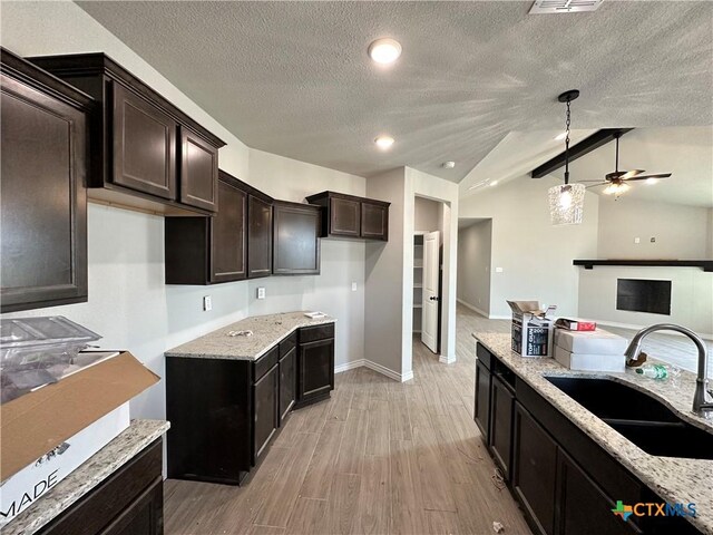 2598 Settlers Oak Dr, Belton, TX 76513 - kitchen featuring a sink, light stone counters, lofted ceiling, ceiling fan, and light wood-type flooring