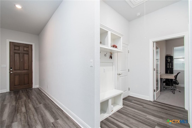 mudroom featuring dark hardwood / wood-style floors