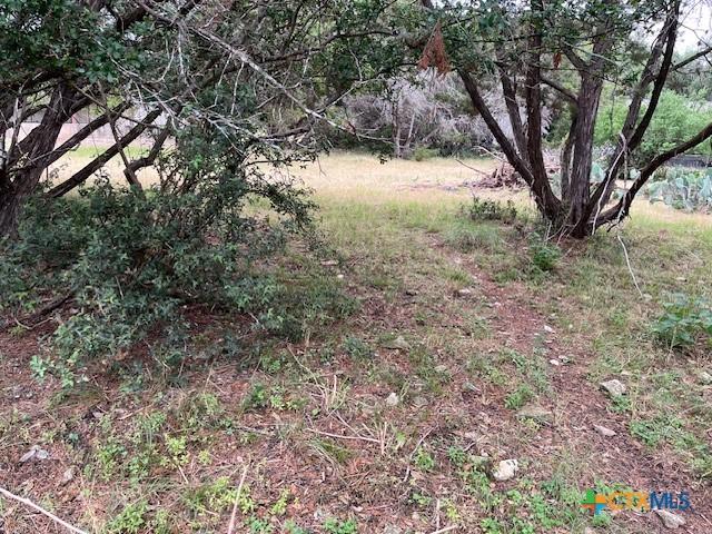 1464 Canyon Edge, Canyon Lake, TX 78133