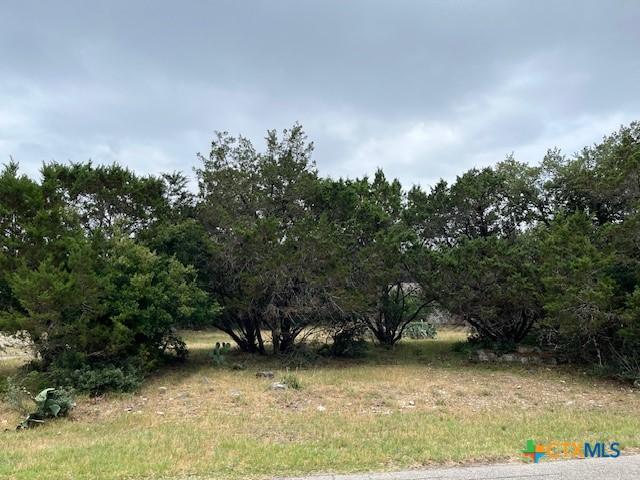 1464 Canyon Edge, Canyon Lake, TX 78133