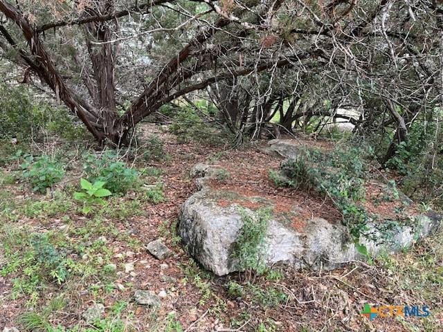 1464 Canyon Edge, Canyon Lake, TX 78133