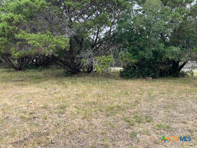 1464 Canyon Edge, Canyon Lake, TX 78133