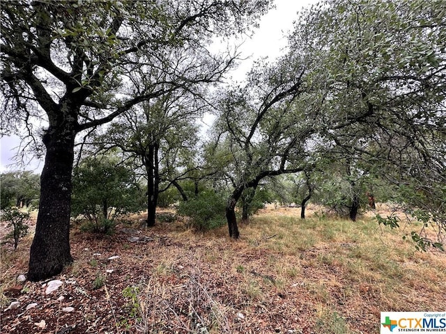 816 Mountain Dew, Horseshoe Bay, TX 78657