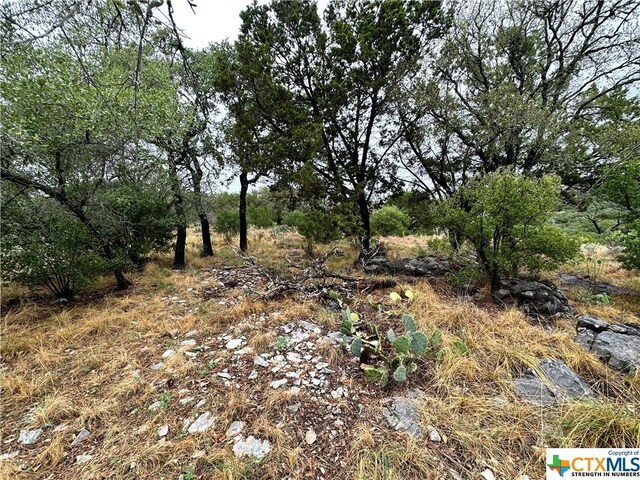 816 Mountain Dew, Horseshoe Bay, TX 78657