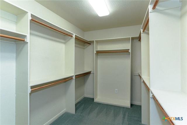 walk in closet featuring light carpet