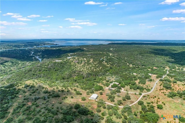 2551 Wolf Creek Ranch Rd, Burnet, TX 78611 - photo 5