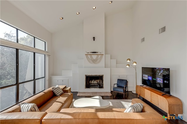 living room featuring hardwood / wood-style floors and high vaulted ceiling