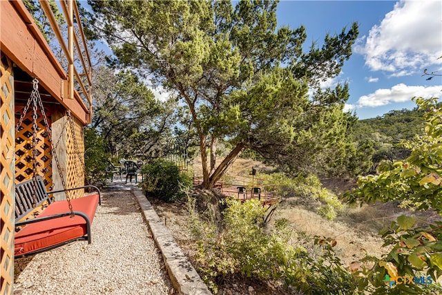 view of yard featuring a patio