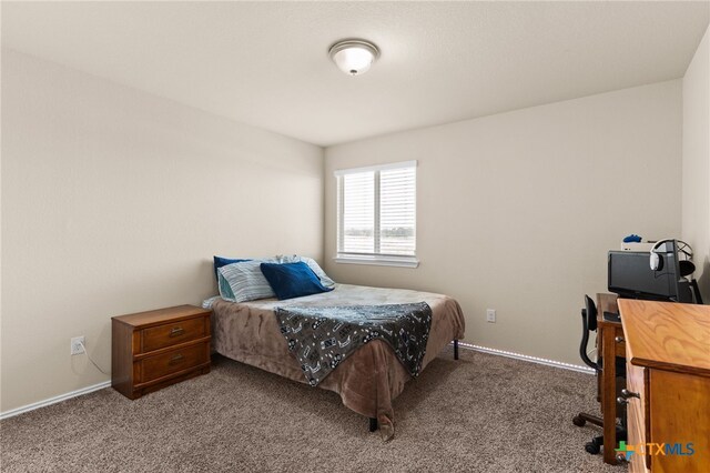 2613 Creekside Hills Blvd, Copperas Cove, TX 76522 - photo 24