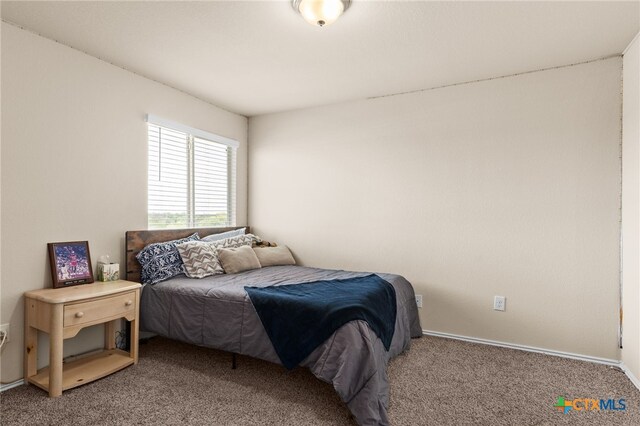 2613 Creekside Hills Blvd, Copperas Cove, TX 76522 - photo 26