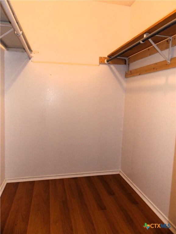 spacious closet featuring dark hardwood / wood-style floors