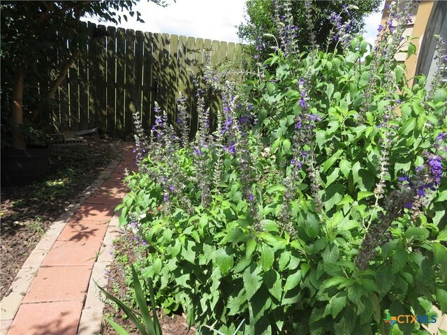 310 Rattan Dr, Victoria, TX 77901 - view of nature