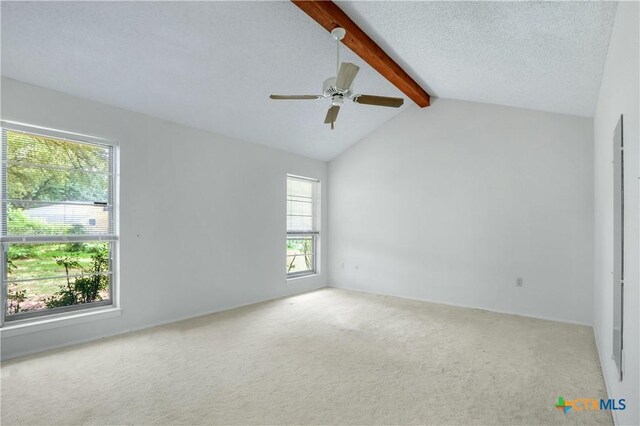 213 Millford, Seguin, TX 78155 - photo 24