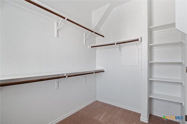2105 Town Centre Dr Unit 42, Round Rock, TX 78664 - walk in closet with carpet floors