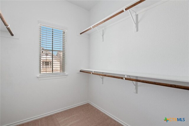 2105 Town Centre Dr Unit 42, Round Rock, TX 78664 - walk in closet with carpet floors