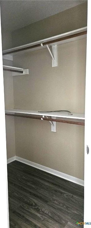 spacious closet featuring dark wood-type flooring
