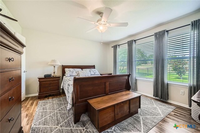 527 Salt Creek Ln, Georgetown, TX 78633 - photo 19