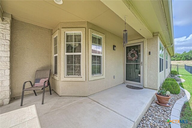 527 Salt Creek Ln, Georgetown, TX 78633 - photo 3