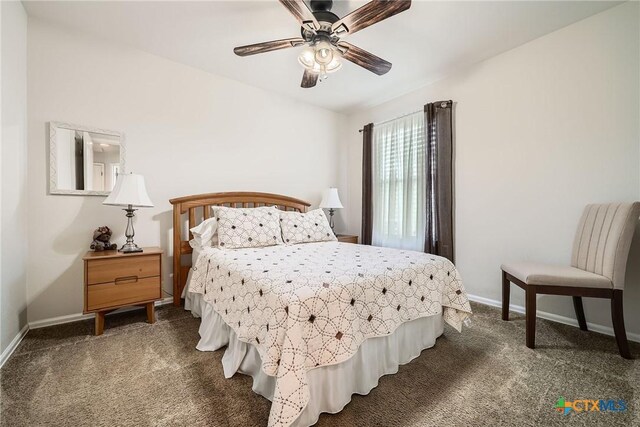 527 Salt Creek Ln, Georgetown, TX 78633 - photo 22