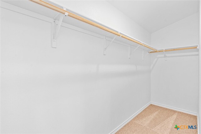 walk in closet with carpet flooring