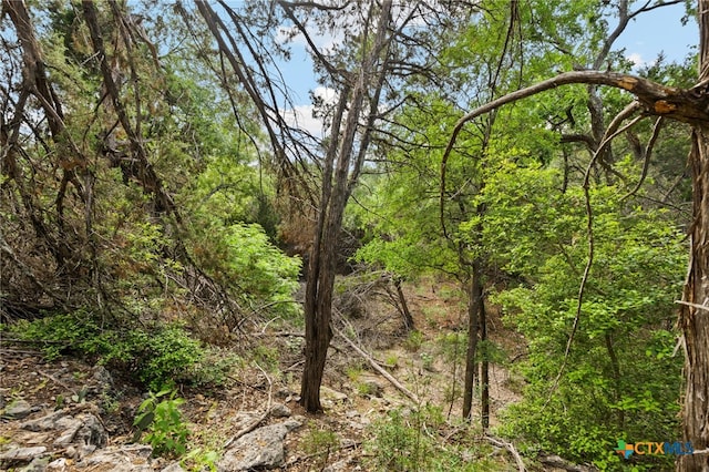 1977 Pinotage, New Braunfels, TX 78132 - photo 6