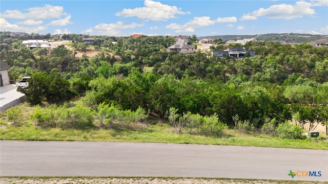1977 Pinotage, New Braunfels, TX 78132 - photo 1