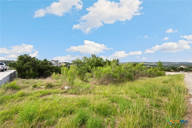 1977 Pinotage, New Braunfels, TX 78132 - photo 3