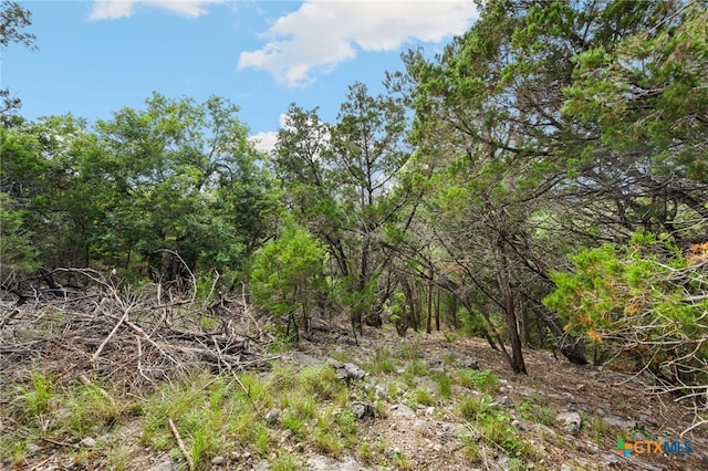 1977 Pinotage, New Braunfels, TX 78132 - photo 2
