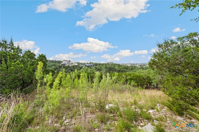 1977 Pinotage, New Braunfels, TX 78132 - photo 4