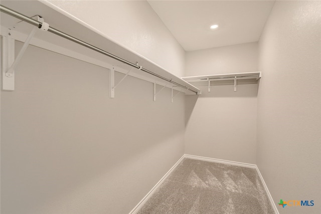 spacious closet with carpet flooring