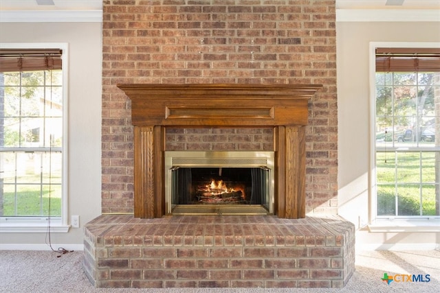 details with a fireplace, carpet, and ornamental molding