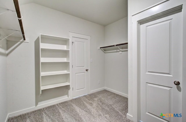 3625 Meteor Rd, New Braunfels, TX 78130 - spacious closet with carpet flooring