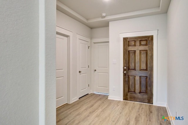 3625 Meteor Rd, New Braunfels, TX 78130 - entryway with light wood-type flooring, baseboards, and a tray ceiling