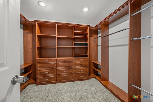 16503 Lounsbury Pl, Austin, TX 78717 - walk in closet with carpet