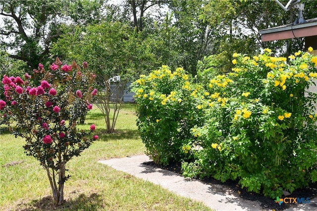 706 Edinburgh St, Victoria, TX 77904 - view of green lawn