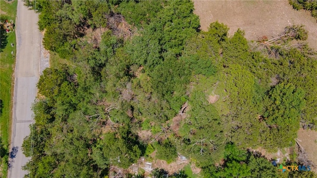 145 Woodland Point Rd, Belton, TX 76513