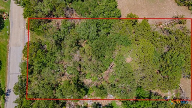 145 Woodland Point Rd, Belton, TX 76513