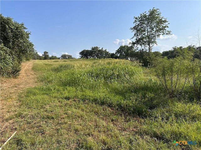 1295 Rainbow Rd, Cuero, TX 77954 - photo 3