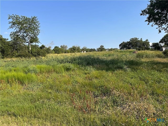 1295 Rainbow Rd, Cuero, TX 77954 - photo 4