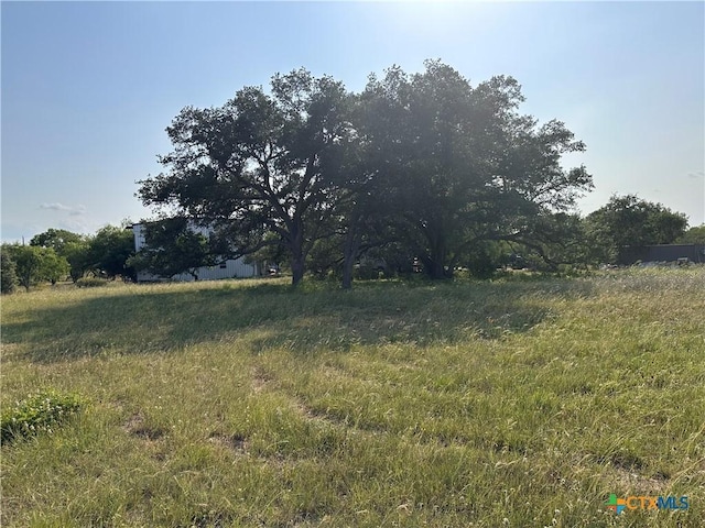 1295 Rainbow Rd, Cuero, TX 77954 - photo 1