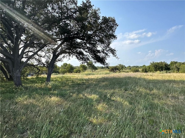 1295 Rainbow Rd, Cuero, TX 77954 - photo 2